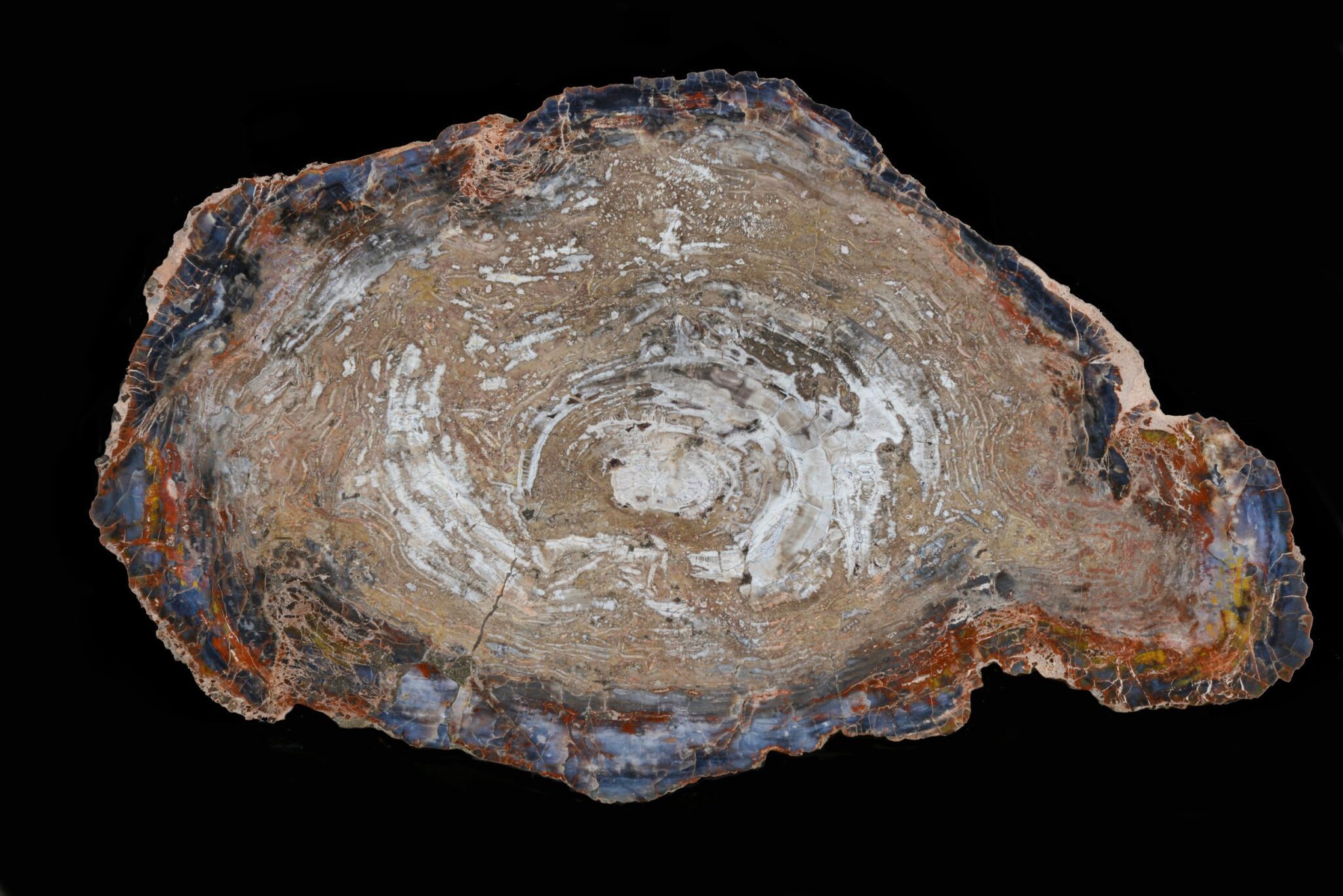 Welcome to Russell Zuhl Petrified Wood - Russell Zuhl