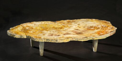 Large Petrified Wood Table - Extremely Solid - Brown Tones