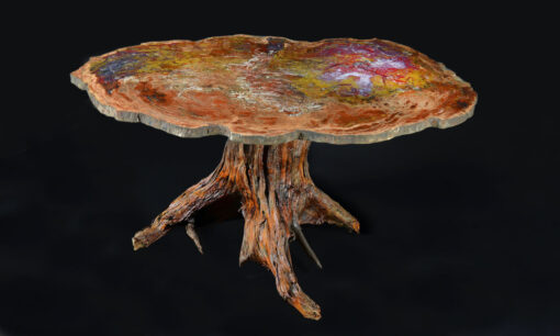 One-of-a-kind Petrified Wood On Bristlecone Pine Base Table