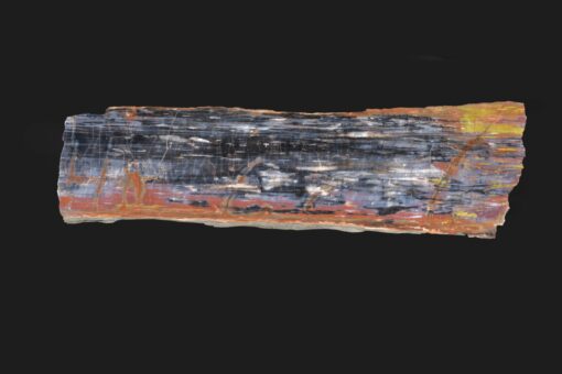 Solid, Well Patterned Petrified Wood Board