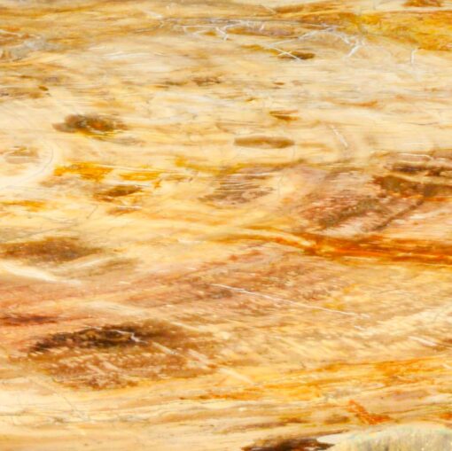 Large Petrified Wood Table - Extremely Solid - Brown Tones - Image 2