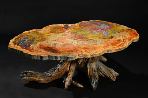 One-of-a-kind Petrified Wood On Bristlecone Pine Base Table - Image 2