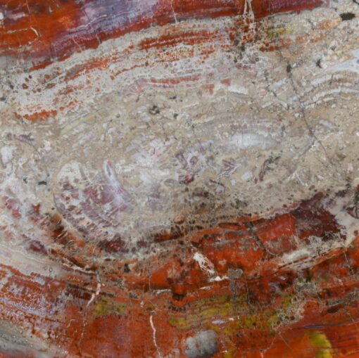 One-of-a-kind Round Arizona Petrified Wood Desk - Image 2