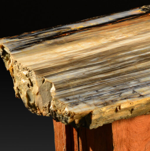 Petrified Wood Table With A Custom Mesquite Base - Image 2