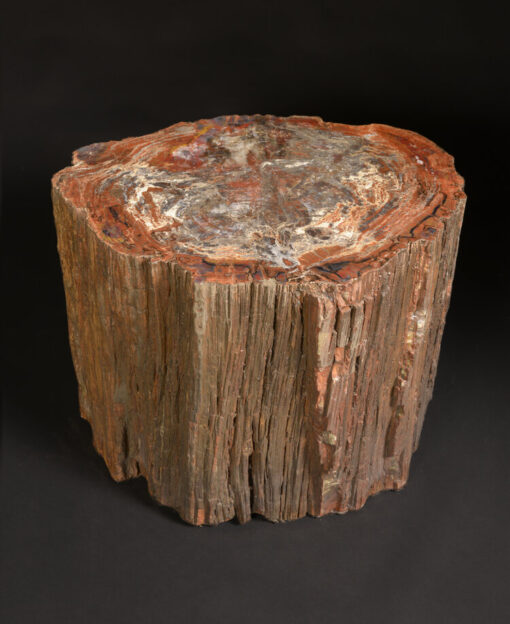 Petrified Wood Section From Arizona - Image 2