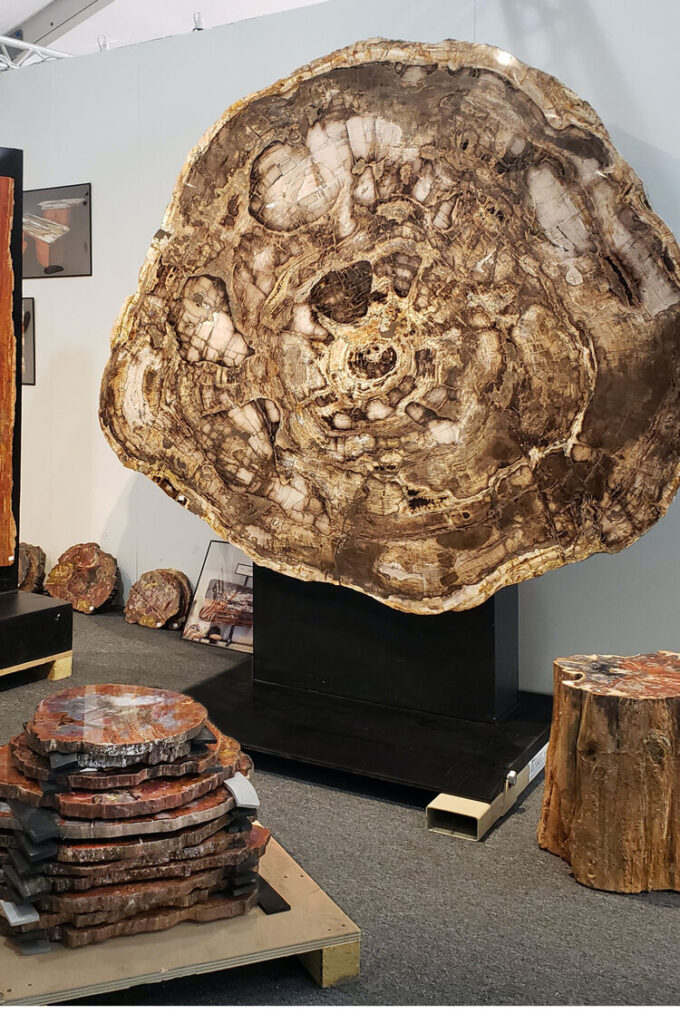 Polished petrified wood furniture - RUSSELL-ZUHL