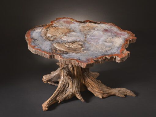 Remarkably bright and colorful petrified wood specimen with vibrant natural patterns, perfect for luxury home decor