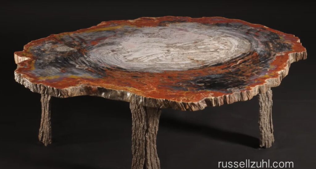 Unique Petrified Wood