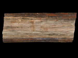 Natural petrified wood table top for sale, perfect for custom furniture and decor