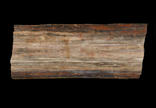 Natural petrified wood table top for sale, perfect for custom furniture and decor