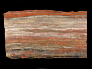 Large, high-quality petrified wood slabs for sale, perfect for countertops and tabletops