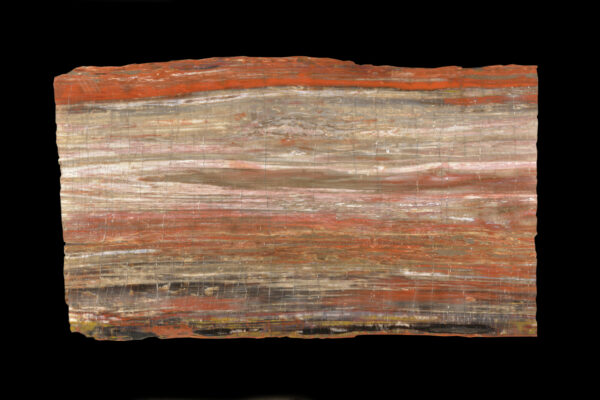 Large, high-quality petrified wood slabs for sale, perfect for countertops and tabletops