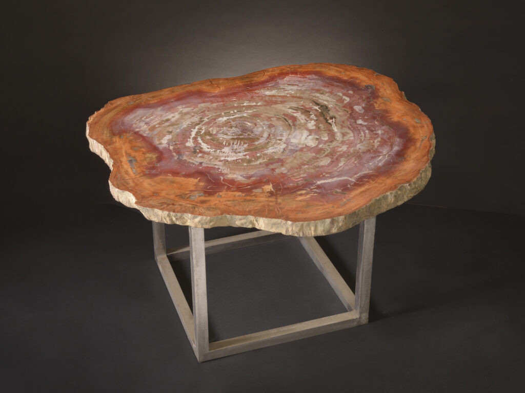 Fossilized petrified wood table with intricate textures, a perfect centerpiece for your dining space.