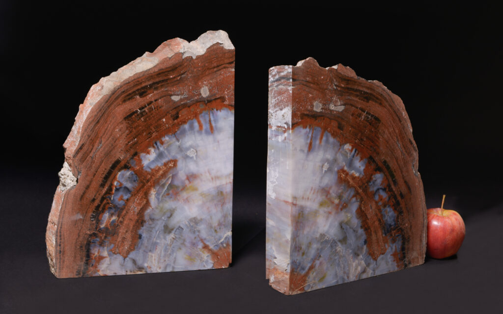 Handcrafted petrified wood bookends made from ethically sourced fossilized wood.