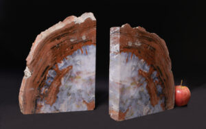 Handcrafted petrified wood bookends made from ethically sourced fossilized wood.