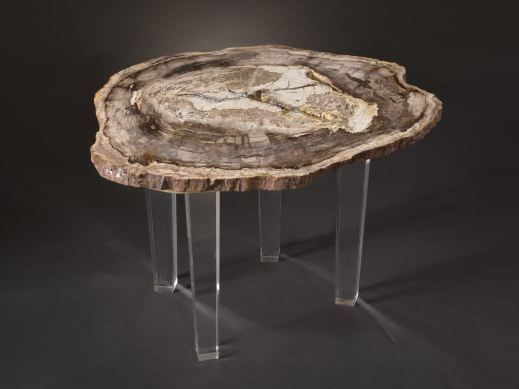 Modern petrified wood table blending contemporary craftsmanship with ancient wood aesthetics.