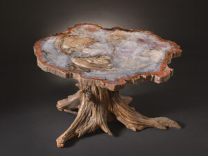 A natural petrified wood table showcasing ancient patterns and a polished surface.