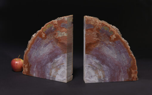 Beautiful Arizona petrified wood bookend polished on both sides with white, red, dark brown, and blue shades.