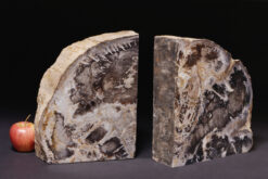 Massive and elegant petrified wood bookend in striking black and white tones, perfect for statement décor.