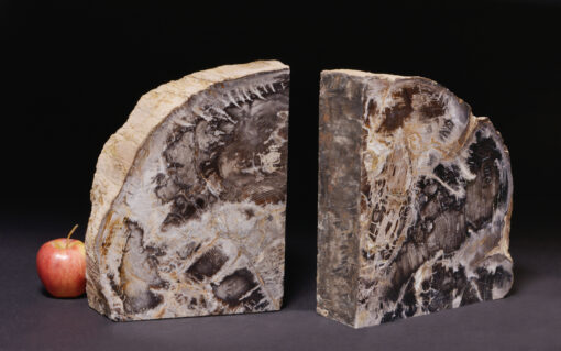 Massive and elegant petrified wood bookend in striking black and white tones, perfect for statement décor.