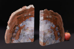 Arizona petrified wood bookend with beautiful white, red, and black lines, polished on both sides.