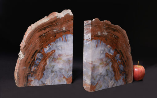 Arizona petrified wood bookend with beautiful white, red, and black lines, polished on both sides.