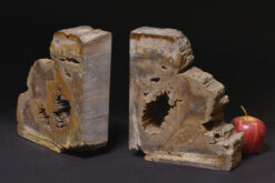 Original oak specimen petrified wood bookend, polished on both sides for a natural and rustic look.