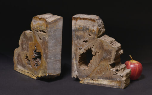 Original oak specimen petrified wood bookend, polished on both sides for a natural and rustic look.