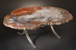 Solid petrified wood table with prominent annual rings and aluminum base