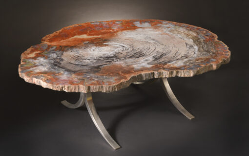 Solid petrified wood table with prominent annual rings and aluminum base