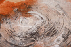 Solid petrified wood table with prominent annual rings and aluminum base