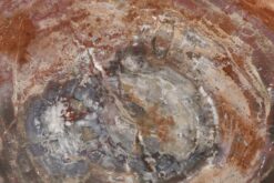 Amber depth and shadowed gold