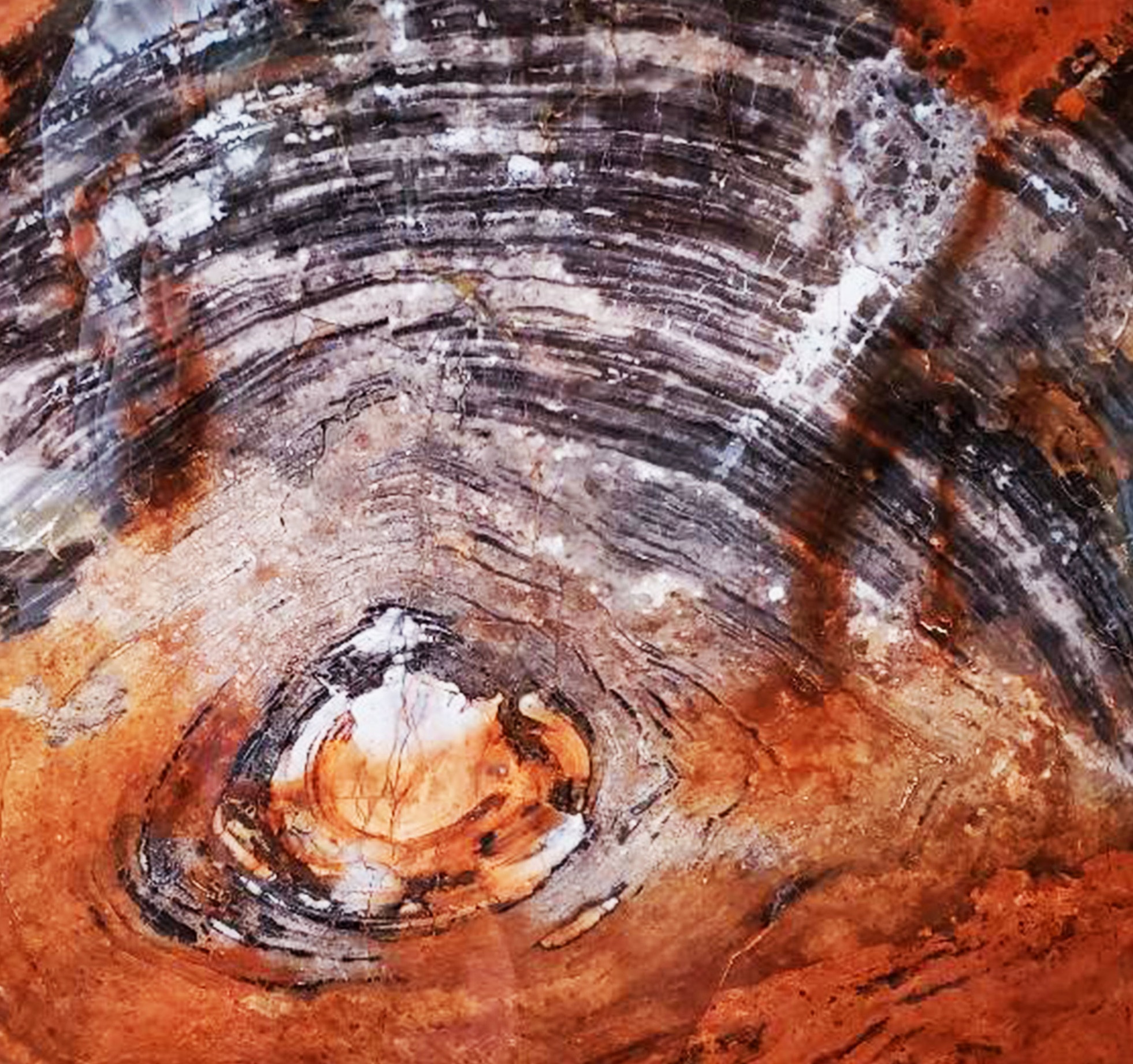 Golden warmth and soft coral tones