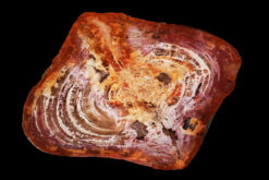 Radiant amber and cream tones