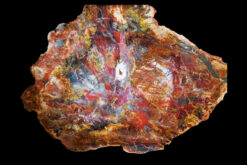 Golden ochre and deep sienna