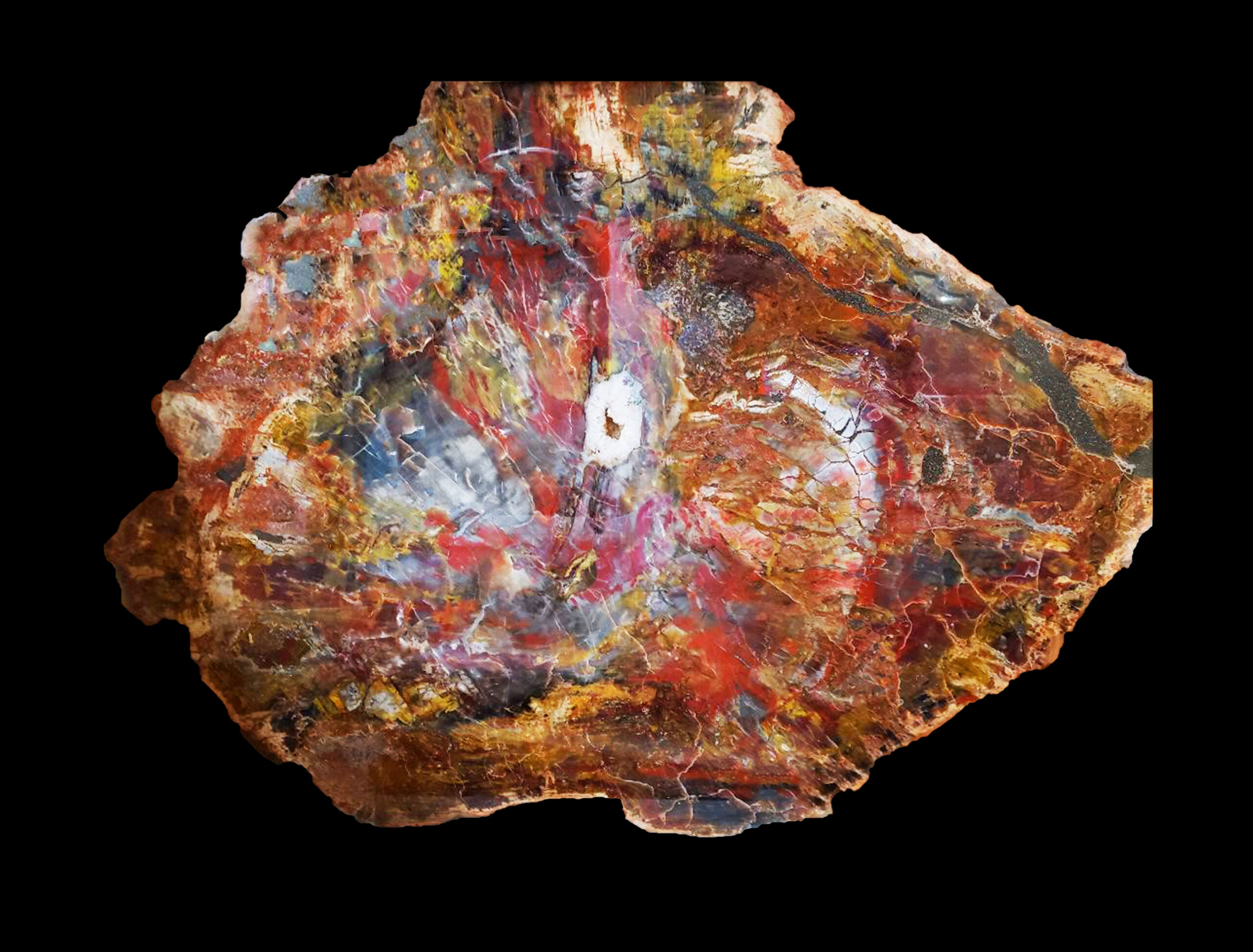 Golden ochre and deep sienna