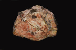 Soft sienna and golden hues