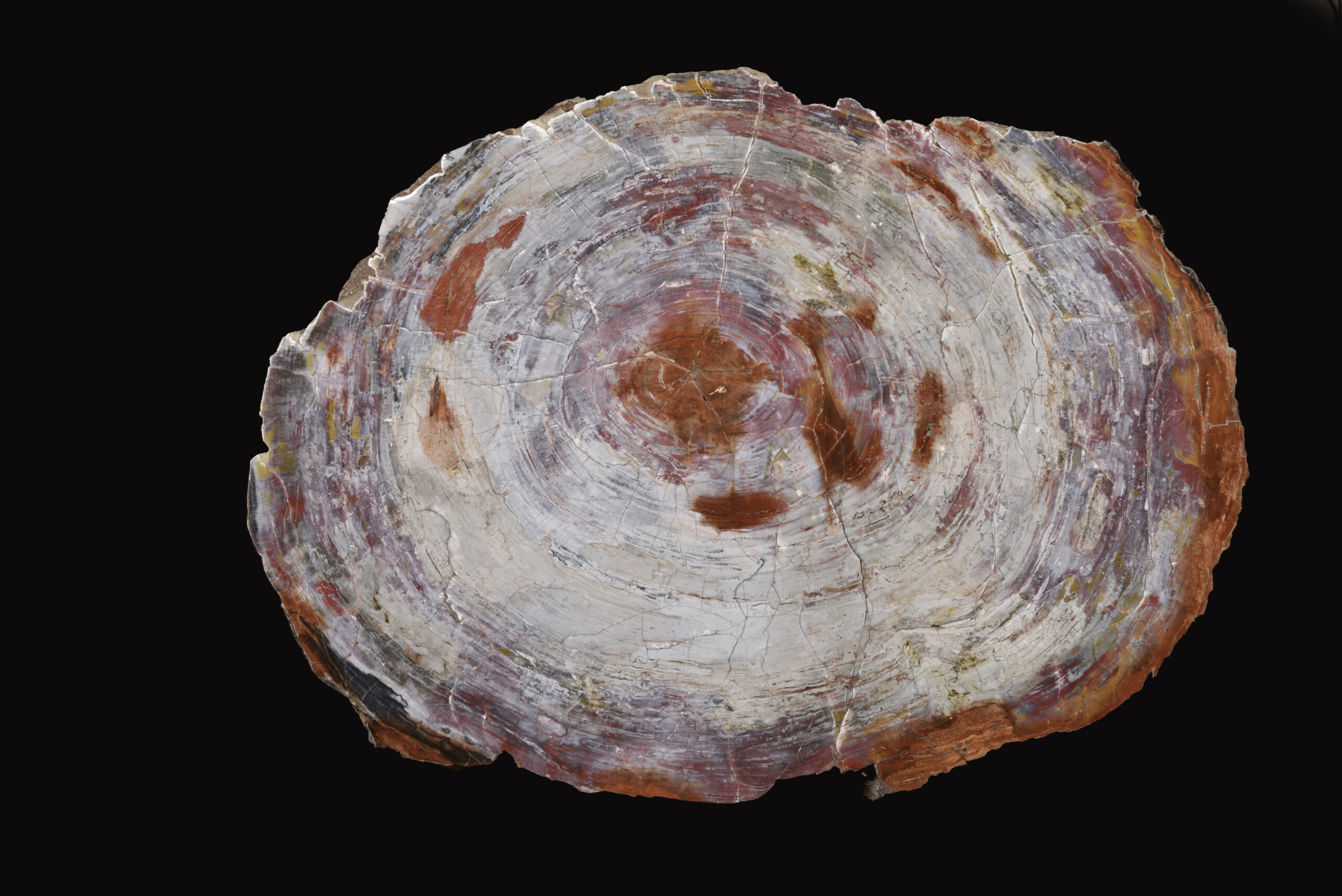 Amber and chestnut tones