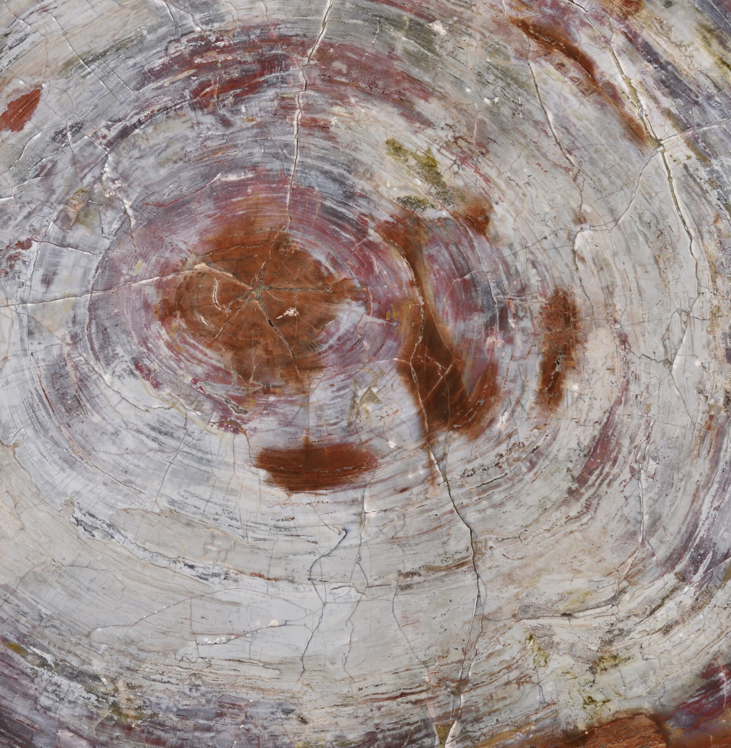 Amber and chestnut tones